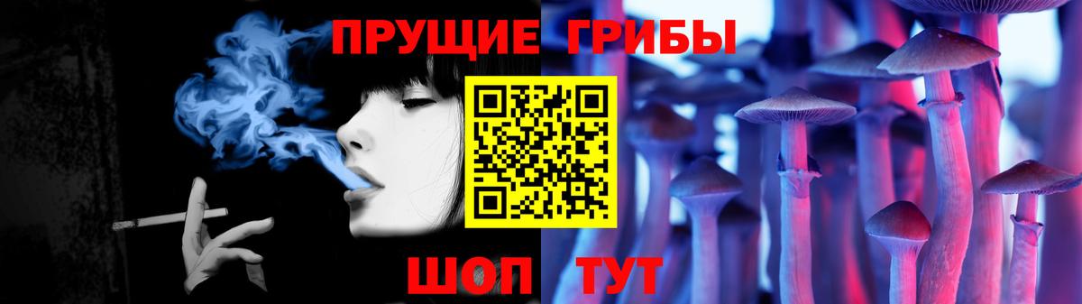 Псилоцибиновые грибы Cubensis Киржач
